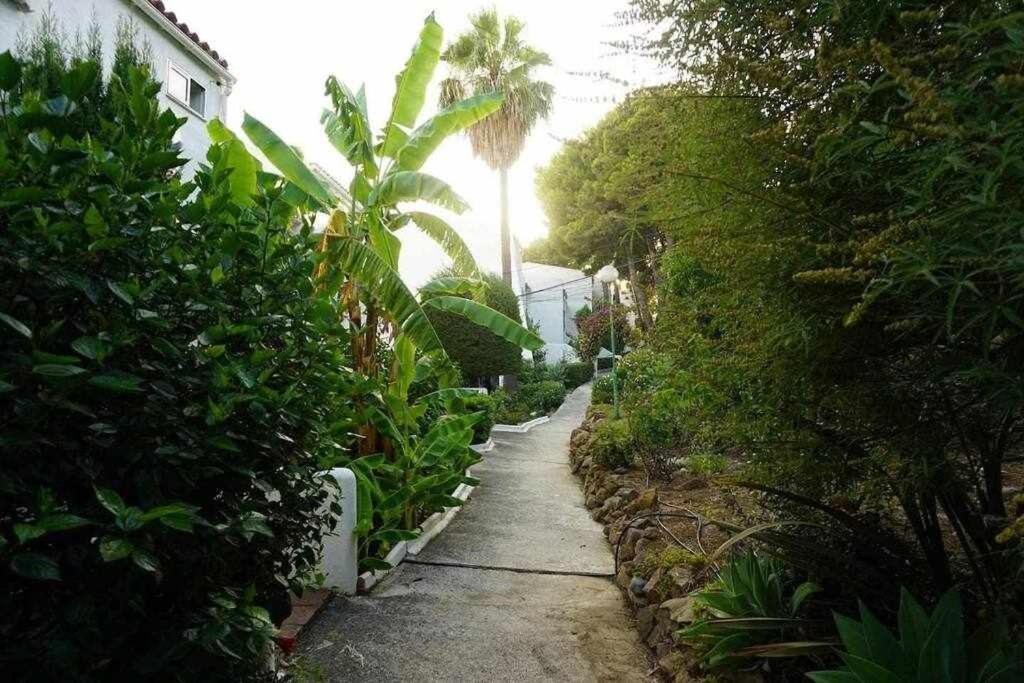 Playa Y Naturaleza 埃斯特波纳 外观 照片